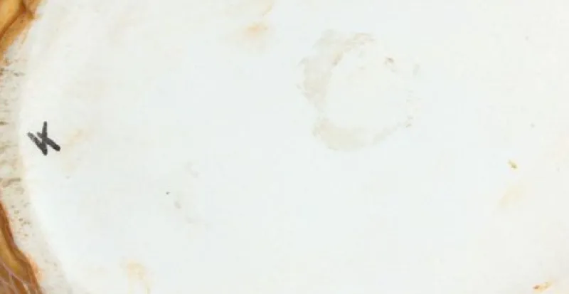 Best Pamono Porcelain Chicken Dish, 1890s