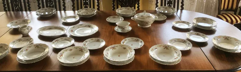 Pamono Porcelain Dinner Service for 10 from Kahla, 1950s, Set of 39> Dinner Plates & Bowls