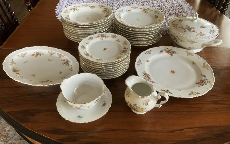 Pamono Porcelain Dinner Service for 10 from Kahla, 1950s, Set of 39> Dinner Plates & Bowls