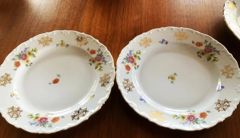 Pamono Porcelain Dinner Service for 10 from Kahla, 1950s, Set of 39> Dinner Plates & Bowls