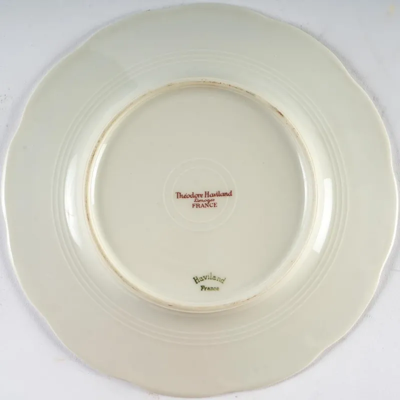 Pamono Porcelain Plates by Theodore Haviland, Set of 9> Dinner Plates & Bowls