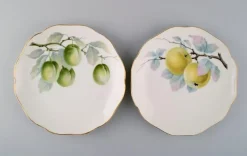 Outlet Pamono Porcelain Plates from Kronach, Germany, 1940s, Set of 14