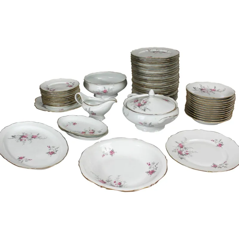 Pamono Porcelain Tableware, Limoges, France, 1950s, Set of 56> Dinner Plates & Bowls