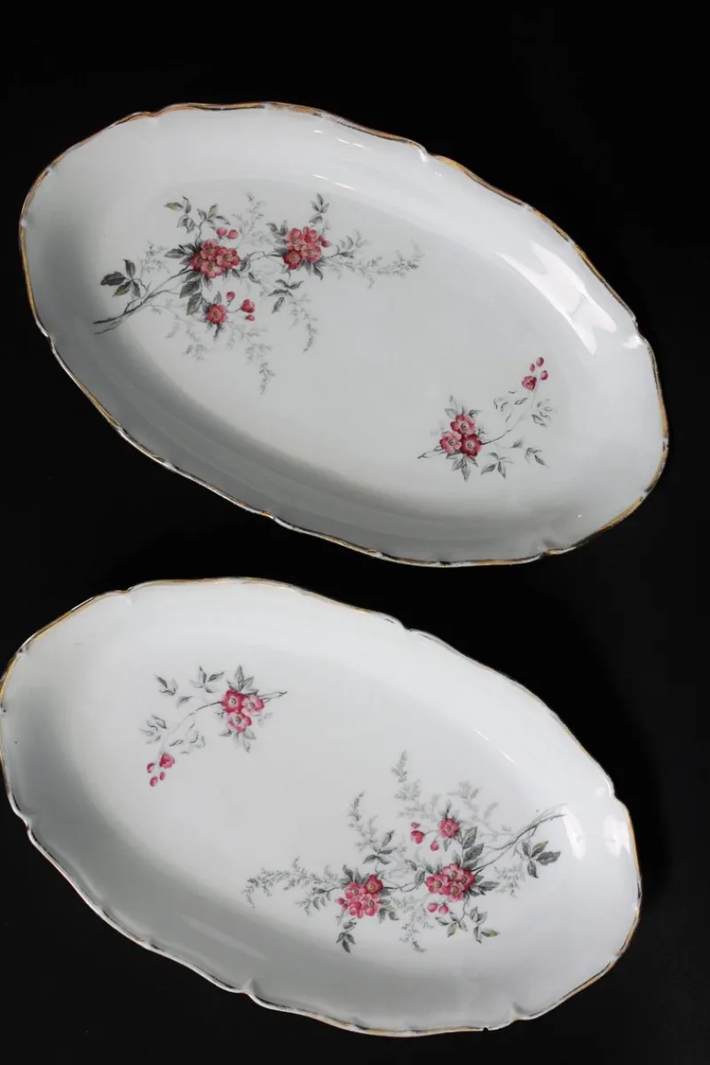 Pamono Porcelain Tableware, Limoges, France, 1950s, Set of 56> Dinner Plates & Bowls