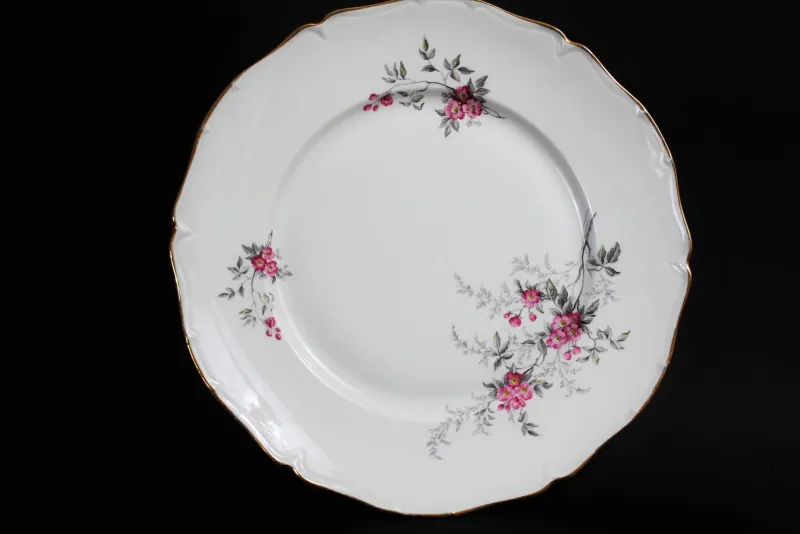 Pamono Porcelain Tableware, Limoges, France, 1950s, Set of 56> Dinner Plates & Bowls