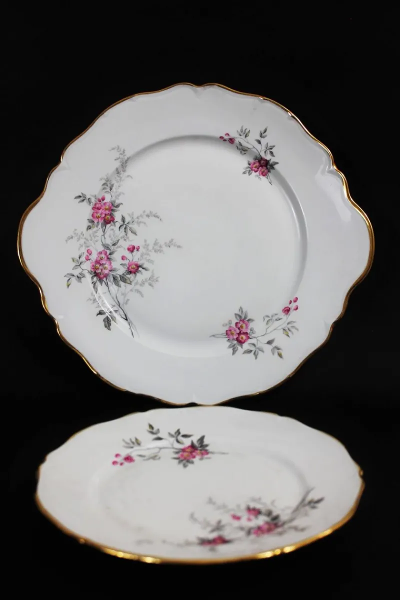 Pamono Porcelain Tableware, Limoges, France, 1950s, Set of 56> Dinner Plates & Bowls