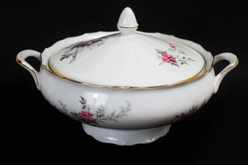 Pamono Porcelain Tableware, Limoges, France, 1950s, Set of 56> Dinner Plates & Bowls