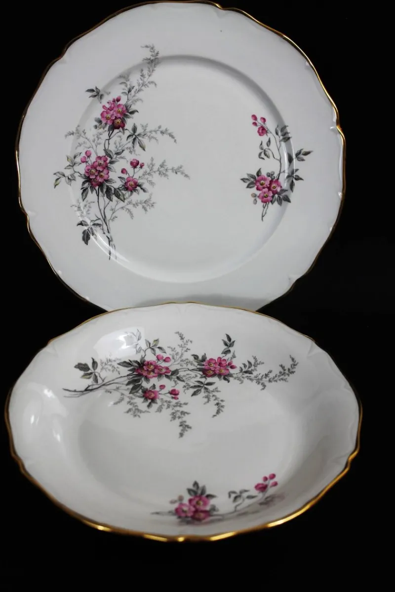 Pamono Porcelain Tableware, Limoges, France, 1950s, Set of 56> Dinner Plates & Bowls