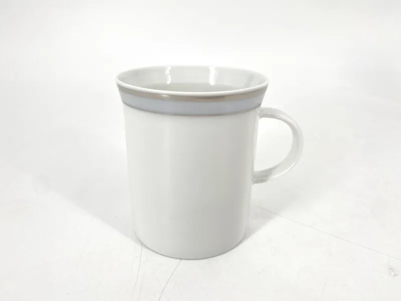 Pamono Porcelain Tableware Service Friedrichstrasse 4042 with Platinum Rim by Hans Theo Baumann for Rosenthal, Germany, 1970, Set of 40> Coffee & Tea Service