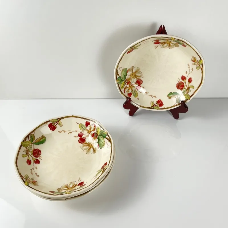 Hot Pamono Portobello Soup Plates from Villeroy & Boch, 1960s, Set of 4