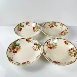 Hot Pamono Portobello Soup Plates from Villeroy & Boch, 1960s, Set of 4