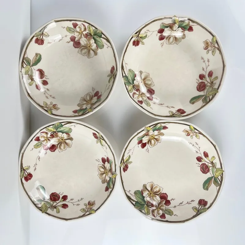 Hot Pamono Portobello Soup Plates from Villeroy & Boch, 1960s, Set of 4