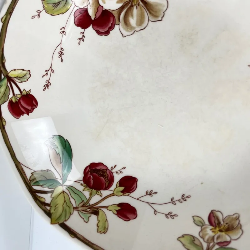 Hot Pamono Portobello Soup Plates from Villeroy & Boch, 1960s, Set of 4