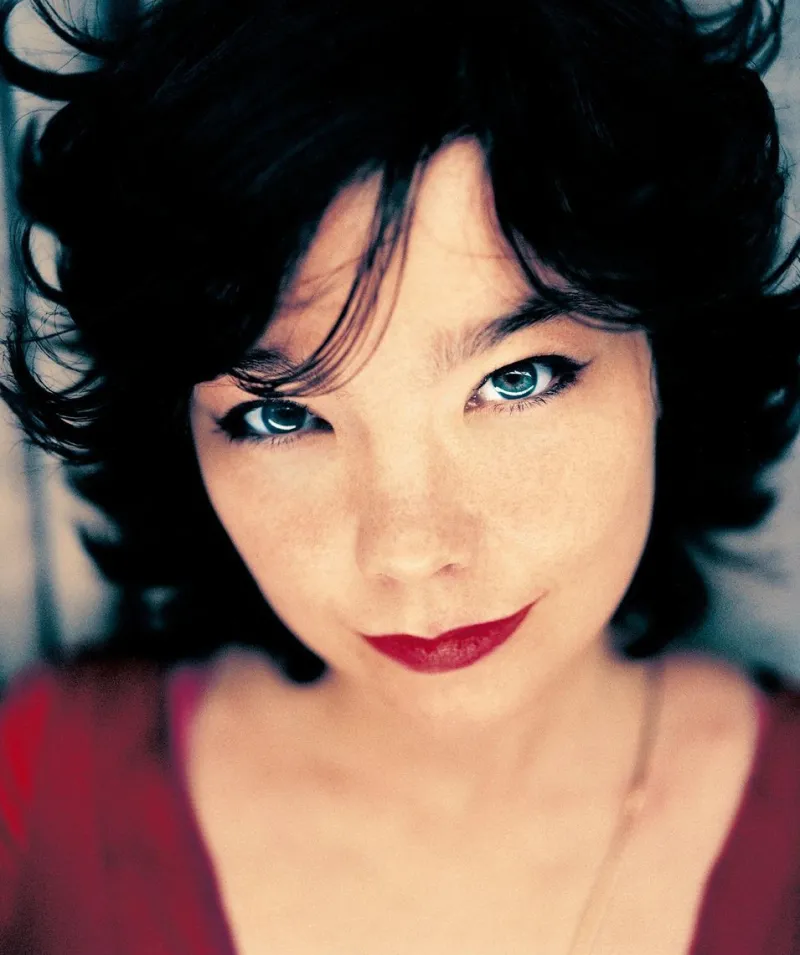 Hot Pamono Portrait of Bjork, Signed Limited Edition Oversize Print, 1998