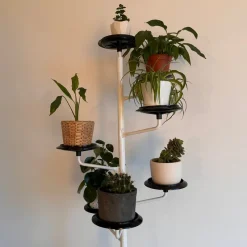 Pamono Potted Tree by Achille Castiglioni for Zanotta, 1983> Garden Accessories