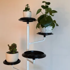 Pamono Potted Tree by Achille Castiglioni for Zanotta, 1983><noscript><img width=