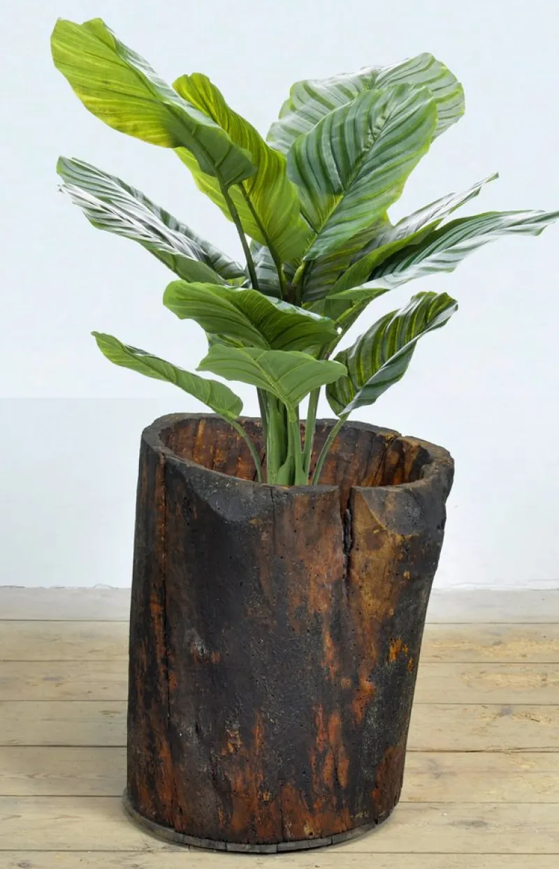 Pamono Primitive Storage Planter, 1900> Planters And Jardiniere