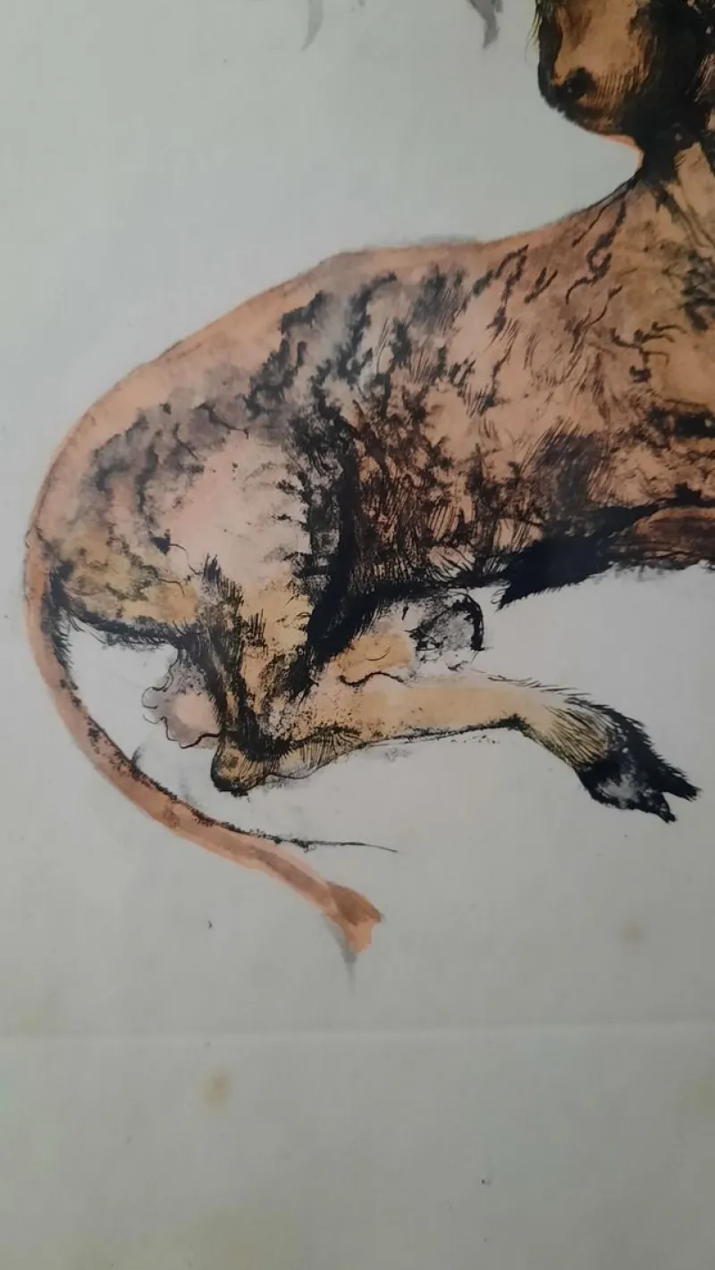 New Pamono Print by Leonor Fini, 1950s