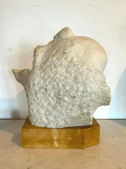 Outlet Pamono Prof. Pattarino, Sculpture, 20th Century, Carrara Marble