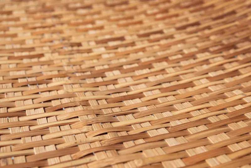 Pamono Rattan Magazine Tray Table
