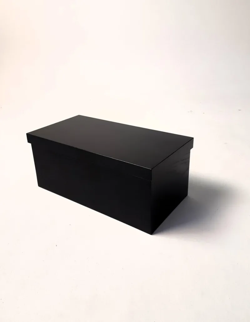 Pamono Rectangular Wooden Box by Villahomecollection