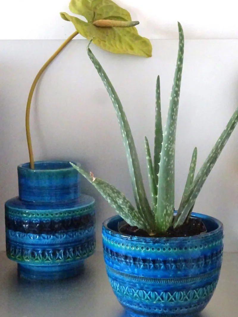 Pamono Rimini Blue Vase from Bitossi, 1960s> Vases