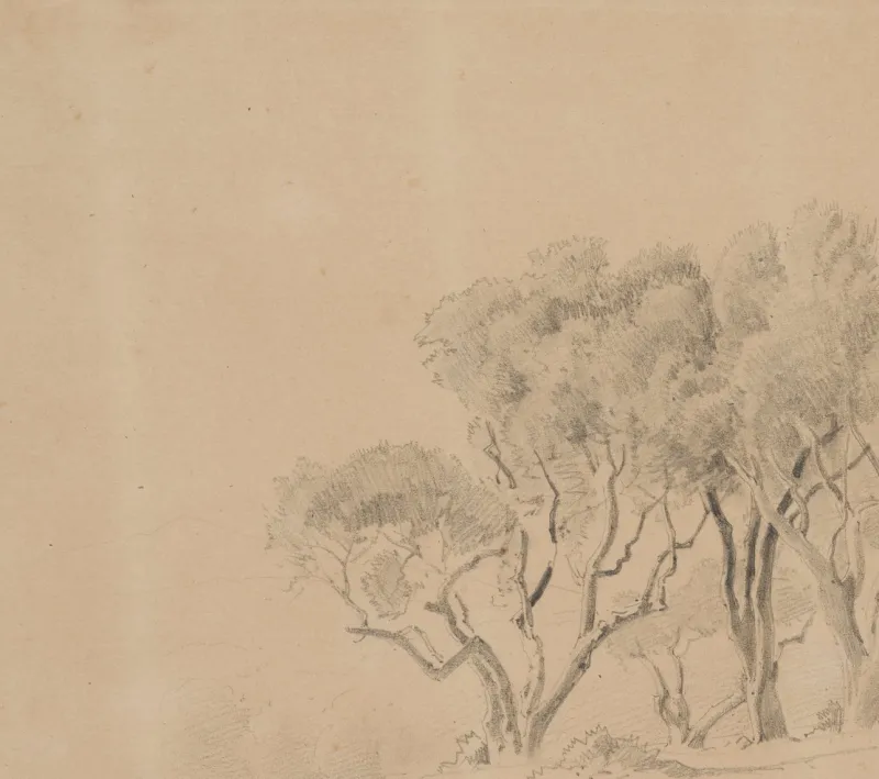 Pamono Rocky Landscape with Trees, 19th-century, Pencil> Classical