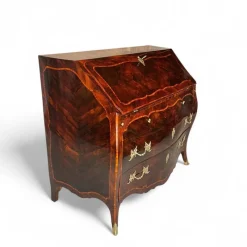 New Pamono Rococo Secretary, Germany, 1750s