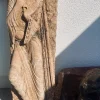 Discount Pamono Romanesque Petrus Marmo Rosso Verona Sculpture in Stone, 1800s