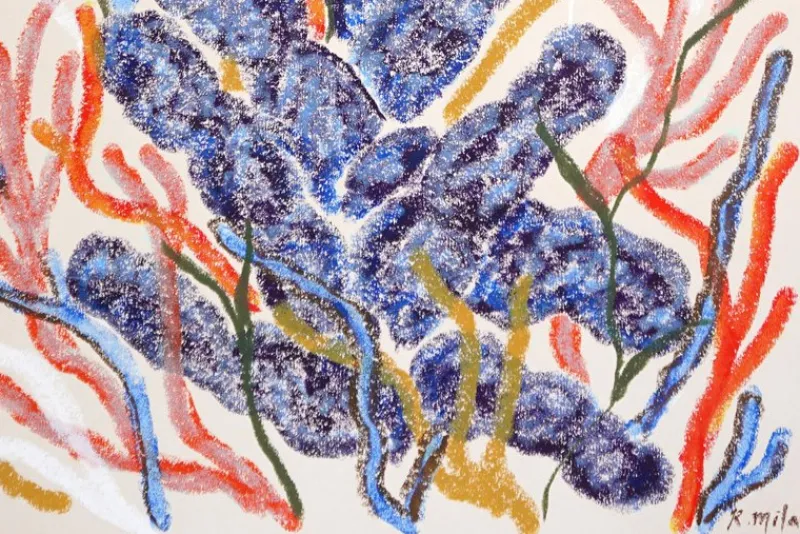 Pamono Romina Milano, Blue Coral Seascape, 2025, Mixed Media on Paper> Work On Paper