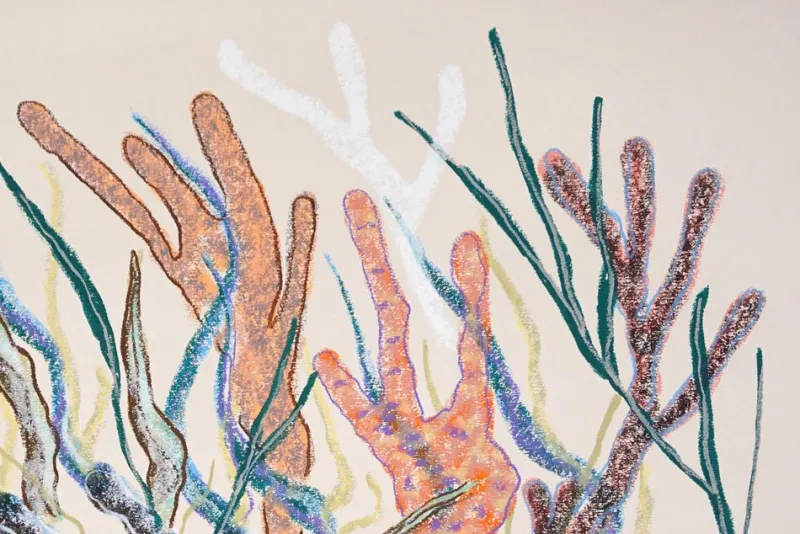 Hot Pamono Romina Milano, Coral Mosaic, 2025, Gouache