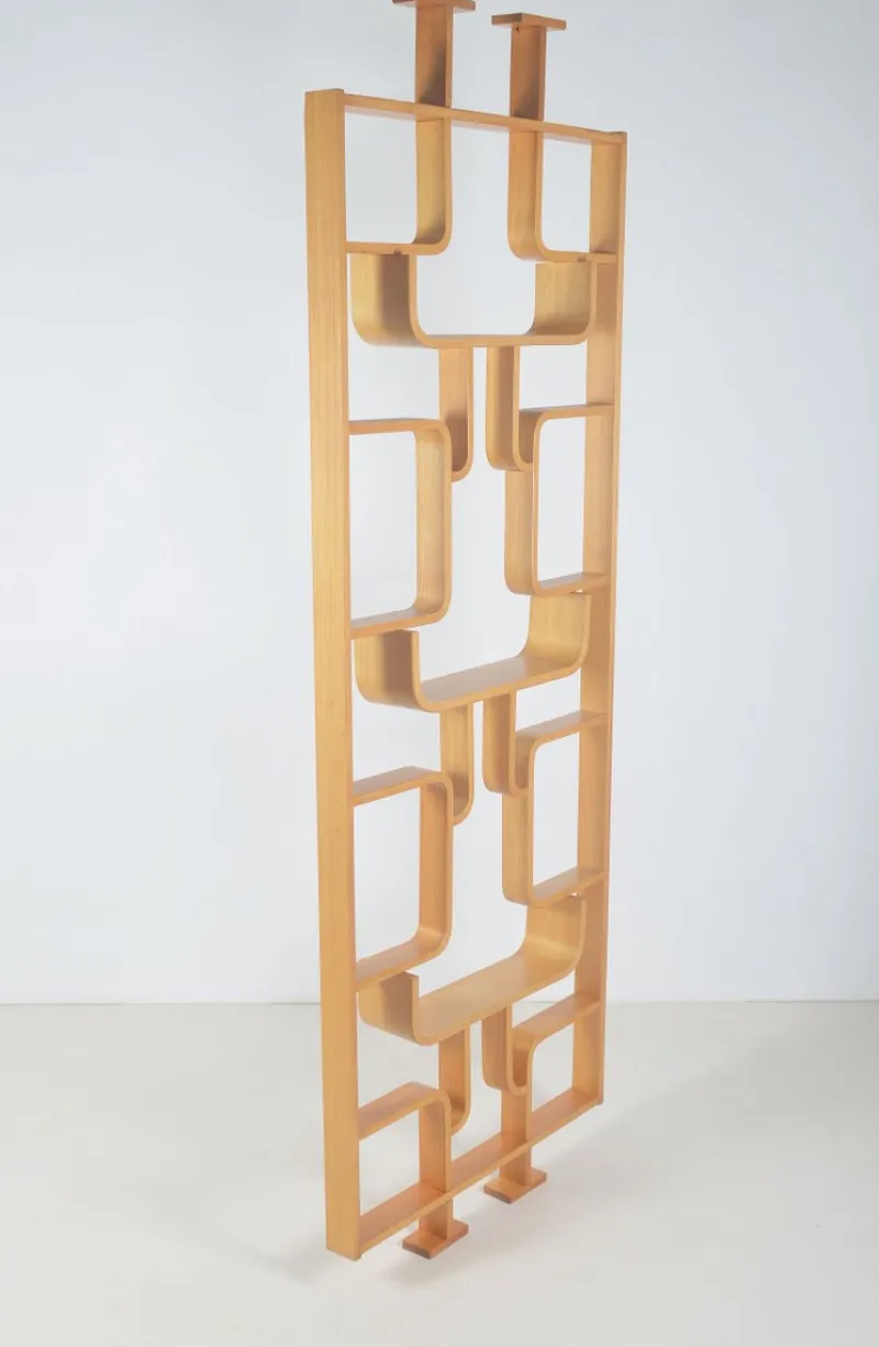 Pamono Room Divider attributed to Volak for Drevopodnik Holesov, 1960s> Room Dividers & Screens