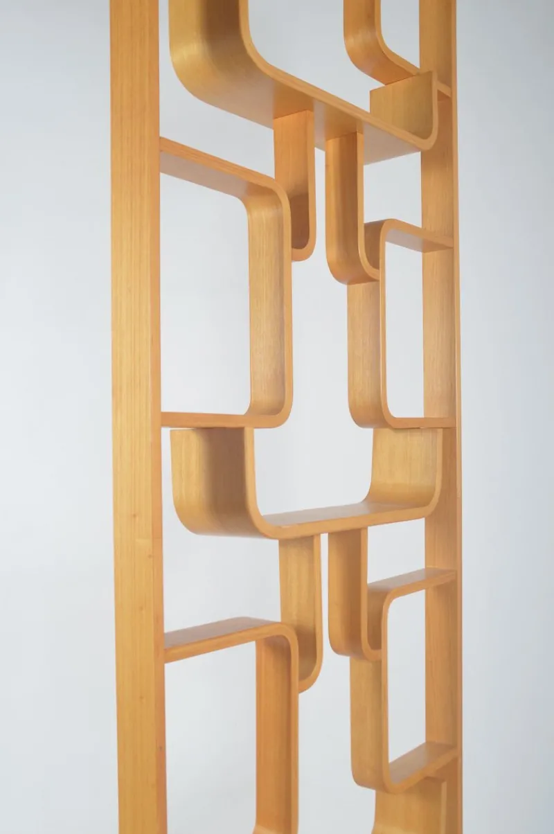 Pamono Room Divider attributed to Volak for Drevopodnik Holesov, 1960s> Room Dividers & Screens