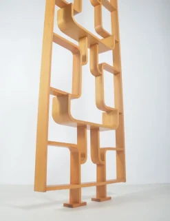 Pamono Room Divider attributed to Volak for Drevopodnik Holesov, 1960s><noscript><img width=
