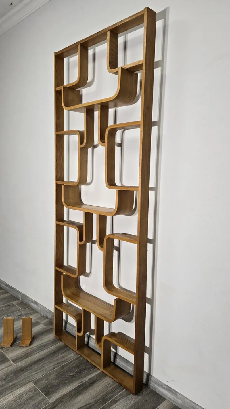 Pamono Room Divider by Ludvik Volak for Drevopodnik Holesov, 1950s> Room Dividers & Screens