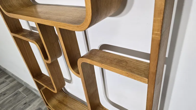 Pamono Room Divider by Ludvik Volak for Drevopodnik Holesov, 1950s> Room Dividers & Screens