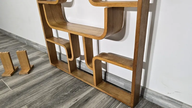 Pamono Room Divider by Ludvik Volak for Drevopodnik Holesov, 1950s> Room Dividers & Screens
