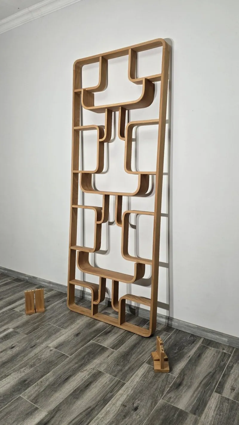 Pamono Room Divider by Ludvik Volak for Drevopodnik Holesov, 1950s> Room Dividers & Screens