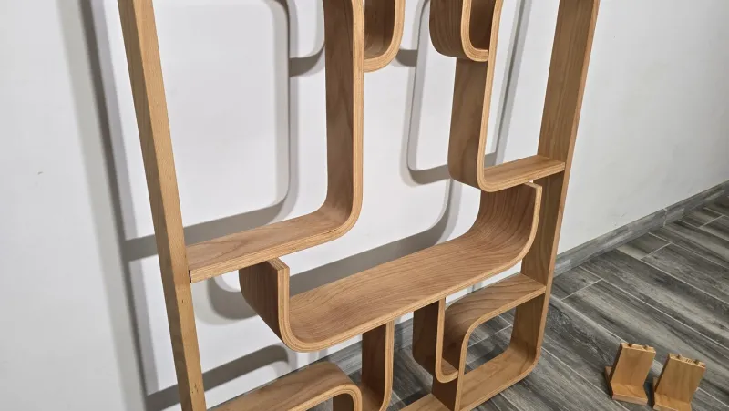 Pamono Room Divider by Ludvik Volak for Drevopodnik Holesov, 1950s> Room Dividers & Screens