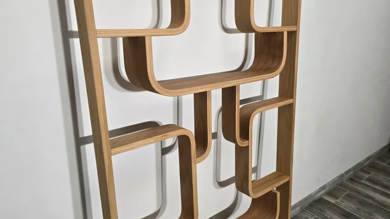 Pamono Room Divider by Ludvik Volak for Drevopodnik Holesov, 1950s> Room Dividers & Screens