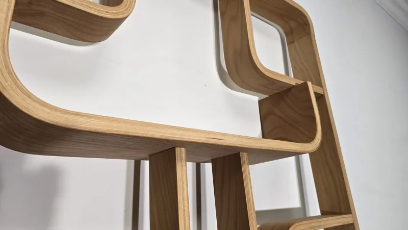 Pamono Room Divider by Ludvik Volak for Drevopodnik Holesov, 1950s> Room Dividers & Screens