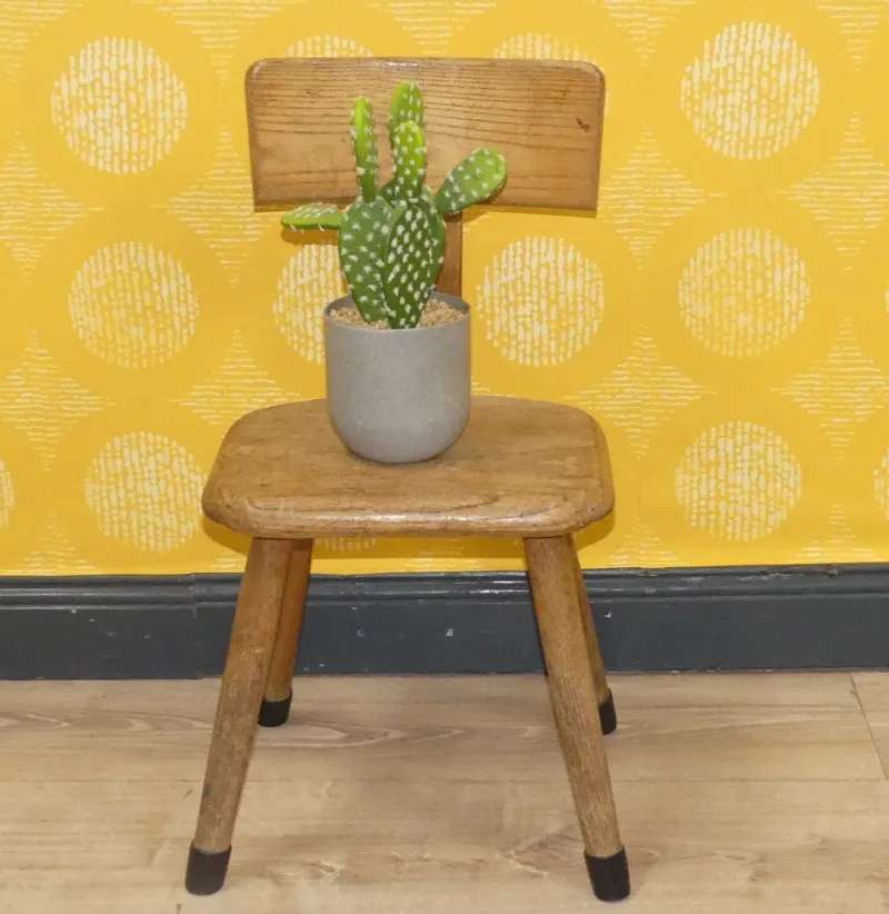 Pamono Rustic Children's Chair in Wood, 1960s> Children's Chairs