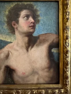 New Pamono Saint Sebastian, 17th Century, Oil Painting on Canvas, Framed