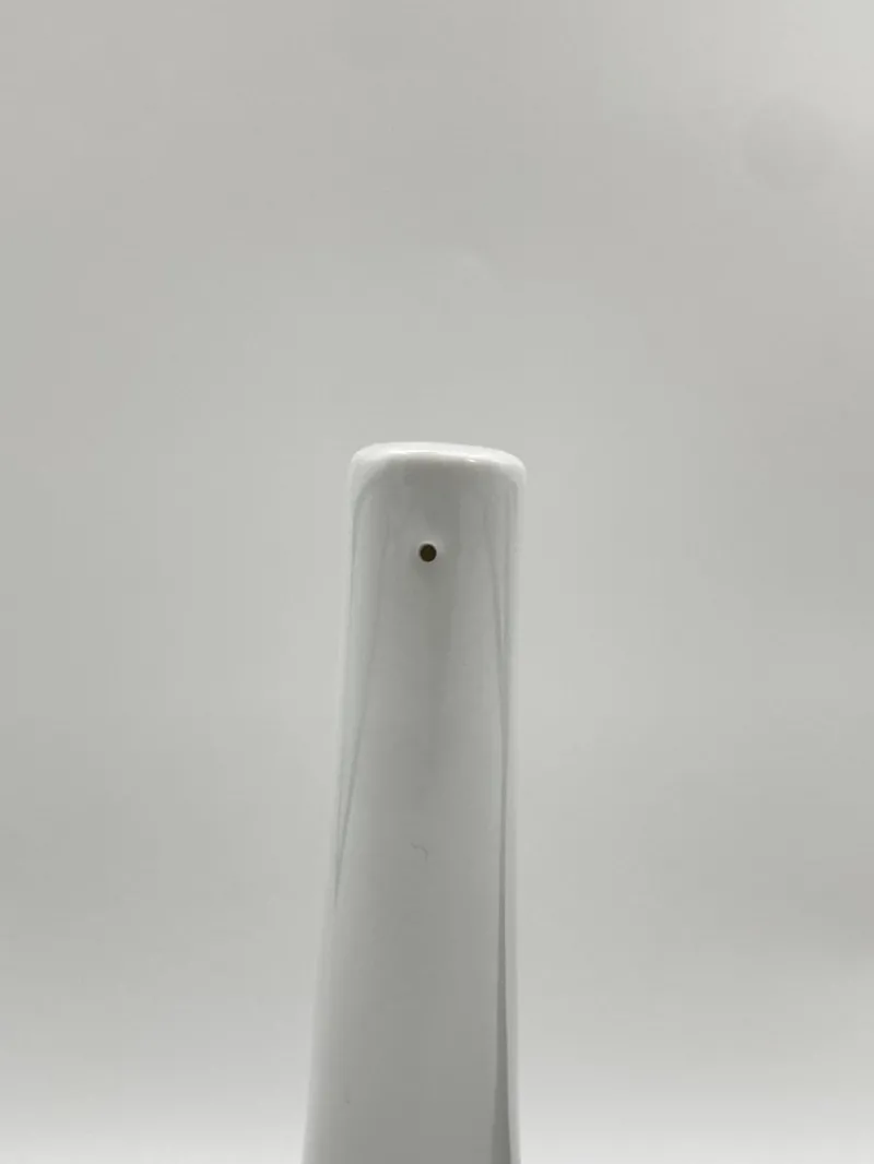 Hot Pamono Salt and Pepper Shaker Calebassa by Ron Arad for Rosenthal, 1990s, Set of 2