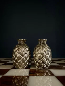 New Pamono Salt and Pepper Shakers by Mauro Manetti, 1960s, Set of 2