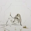 Pamono Salvador Dali - Brother Ogrin, The Hermit - Original Etching 1970> Surrealist