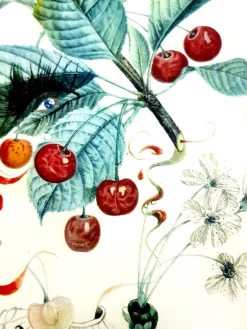 Pamono Salvador Dali - Cherries - Original Hand-Signed Lithograph 1969><noscript><img width=