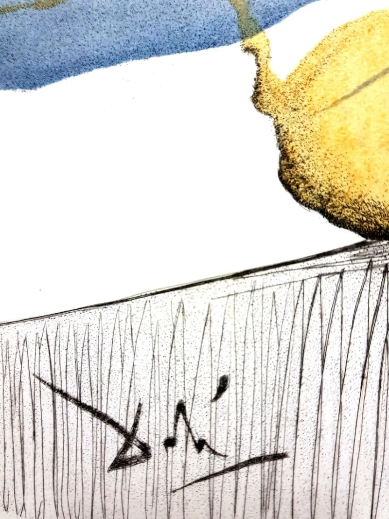 Pamono Salvador Dali - Cut Cucumber - Original Etching 1967> Surrealist