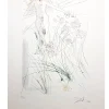 Pamono Salvador Dali - The Beloved Feeds Among the Lilies - Signed Aquatint 1971> Surrealist
