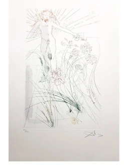 Pamono Salvador Dali - The Beloved Feeds Among the Lilies - Signed Aquatint 1971> Surrealist